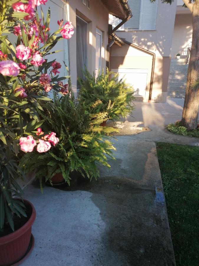 Villa Ros Guest House 斯维伦格勒 外观 照片