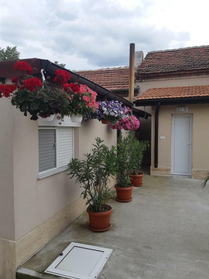 Villa Ros Guest House 斯维伦格勒 外观 照片