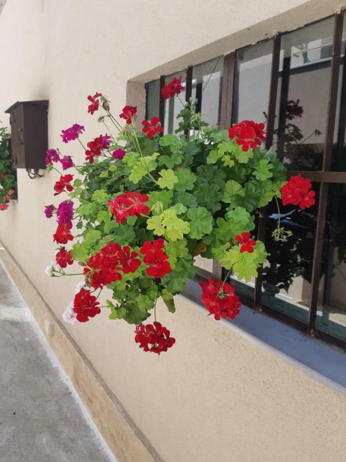 Villa Ros Guest House 斯维伦格勒 外观 照片