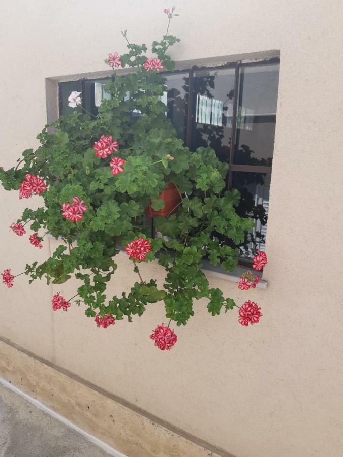 Villa Ros Guest House 斯维伦格勒 外观 照片
