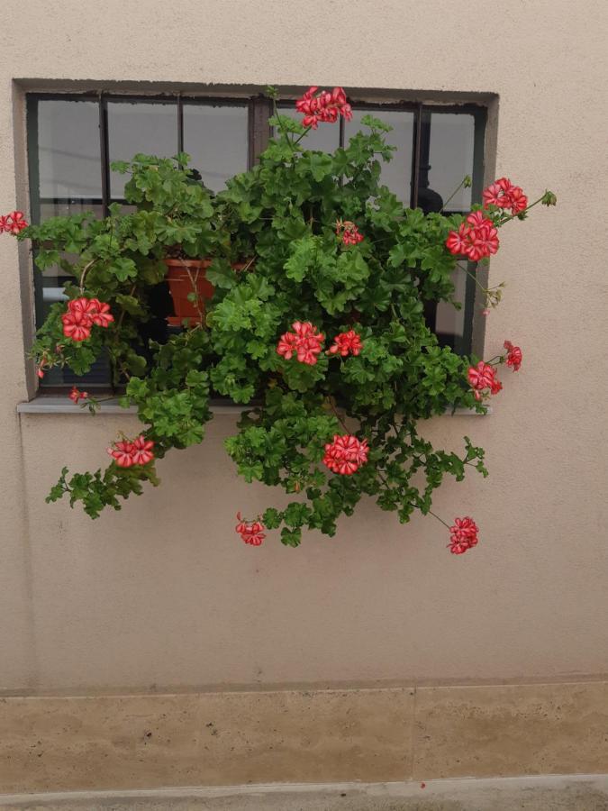 Villa Ros Guest House 斯维伦格勒 外观 照片
