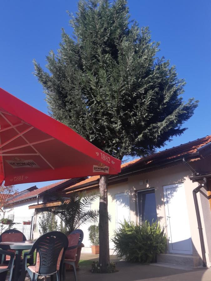 Villa Ros Guest House 斯维伦格勒 外观 照片